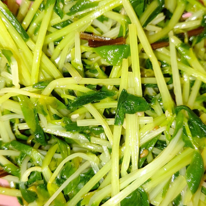 豆苗の塩昆布和え